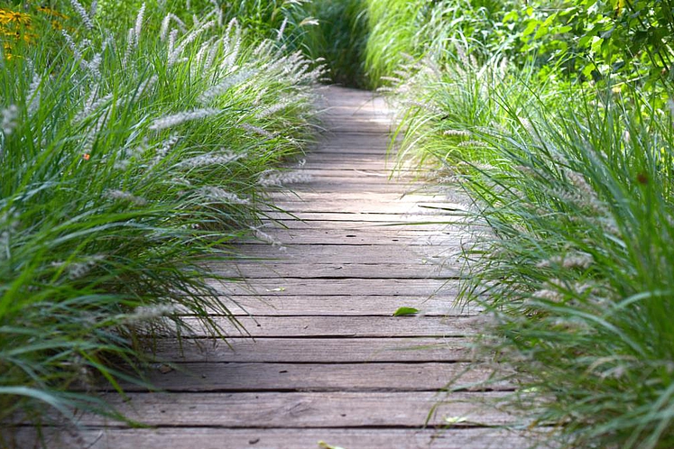 Gartenweg aus Holzbalken.