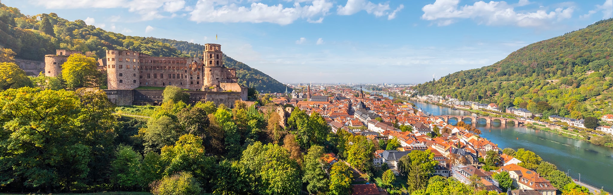 Ansicht von Heidelberg